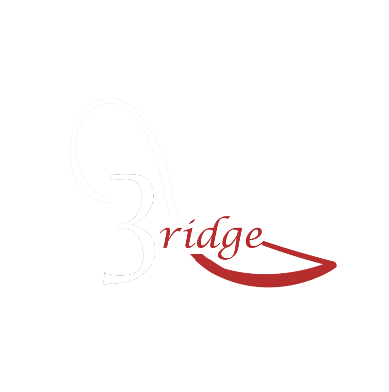 Bridge Shoes